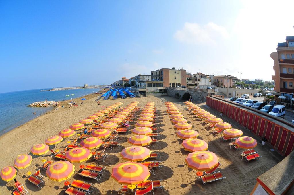 Il Delfino San Vincenzo